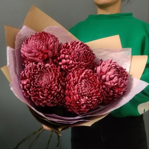 Bouquet 'Purple chrysanthemums 'Bigudi''