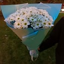 Bouquet of white spray chrysanthemum