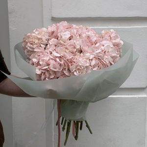 🌸 Ramo de Hortensias Rosadas Premium 🌸