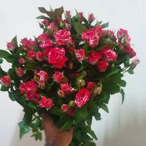 Bouquet of 9 spray roses