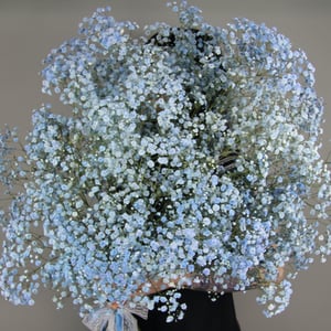 Bouquet 'A handful of blue gypsophila'