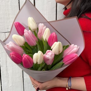 Bouquet of 15 white-pink tulips