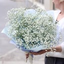 Bouquet of gypsophila