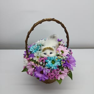 Floral Arrangement "Cat in a Basket"  2.0