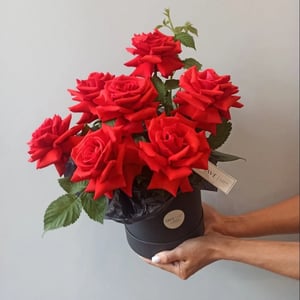 Flower box 'Velvety Chime'