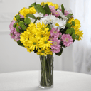 Bouquet 'Sunny Day: yellow, white and violet Chrysanthemums'
