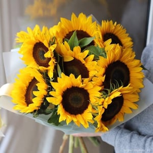 Bouquet of 9 sunflowers