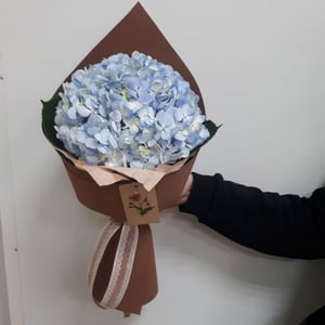 Bouquet 'Hydrangea'