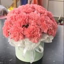 Blumenbox 'Schachtel mit Nelken'