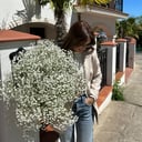 Bouquet 'White cloud'