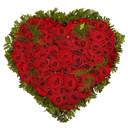 Heart of roses: red Roses