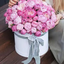 Arrangement 'Pink boom'