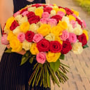 Bouquet of 101 multi-colored roses