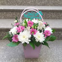 Composition of chrysanthemums and alstroemerias