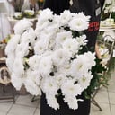 Bouquet of 11 White Bush Chrysanthemums
