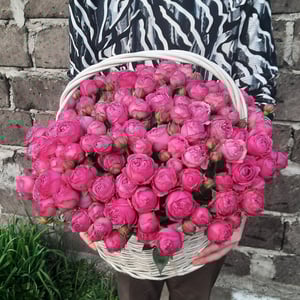 Panier de roses buissonnantes à fleurs pivoine