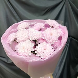 Ramo de tres crisantemos rosados