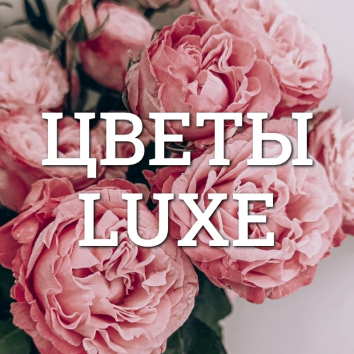 Cvety Luxe