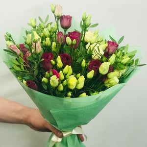 Bouquet 'With no reason'