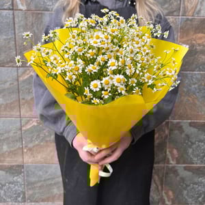 Ramo 'Tanacetum in yellow'