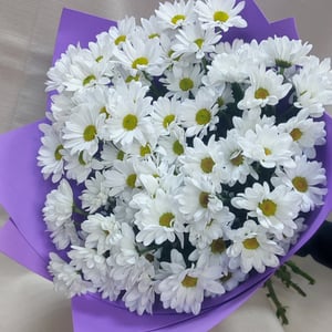 Bouquet 'Chamomile happiness'