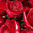 Blumenstrauß 'Wachs Rose Pur 2 Jahre haltbar'