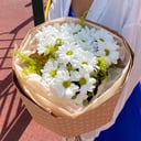 Bouquet of chrysanthemum and solidago