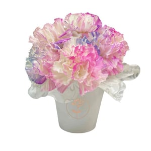 Flower box 'Carnation Bouquet'