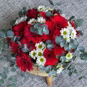 Flower basket 'Color Burst'