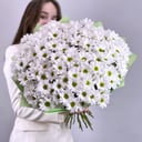 Blumenstrauß 'Großes Chrysanthemen-Bouquet, verpackt'