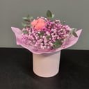 Blumenbox 'Erdbeereis am Stiel'