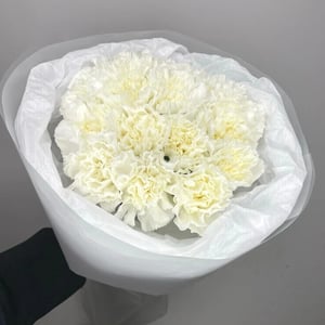 Blumenstrauß 'Dianthus (Nelke, Sorte) Weiß'