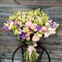 Bouquet '41 eustoma mix'