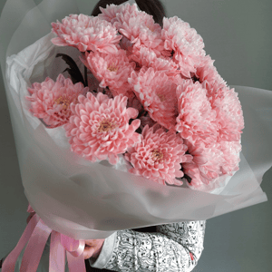 Monobouquet of pink chrysanthemums