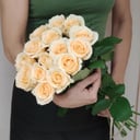 Cream roses 15 pcs