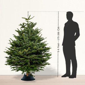 Christmas Tree -Fresh 200 Cm