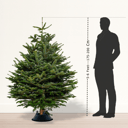 Christmas Tree -Fresh 200 Cm