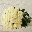 Ramo 'Amour 51 Equador'