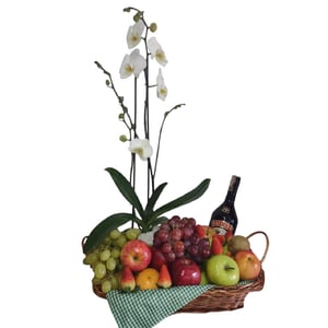 Orchid, fruits and Baileys