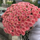 Ramo '101 rosas con una cinta'