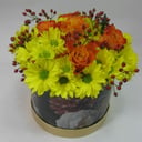 Arrangement 'The rays of the bright sun'