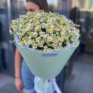 Bouquet with chamomile