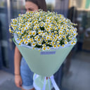 Bouquet with chamomile