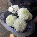 Blumenstrauß 'Magnum'