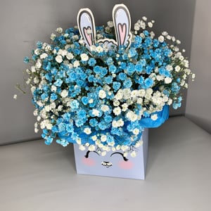 Gypsophila composition "Bunny"