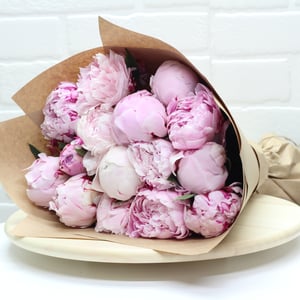 Bouquet of 15 pink peonies