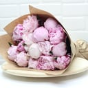 Bouquet of 15 pink peonies