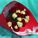 25 red and white roses 50 cm
