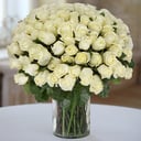 A bouquet of 101 white roses