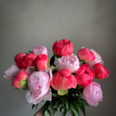 Blumenstrauß 'Bouquet of 15 coral and pink peonies'